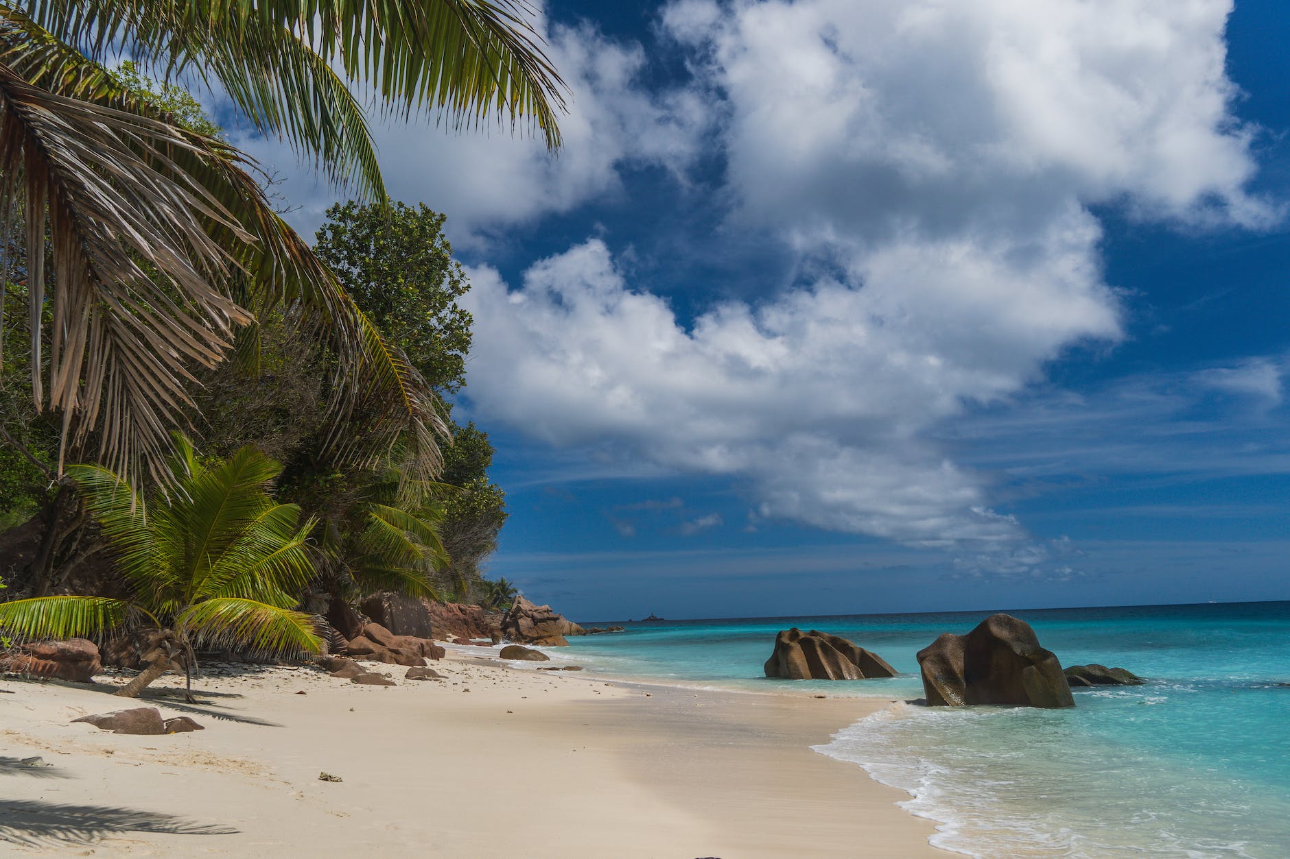 scenic view of a beach in seychelles